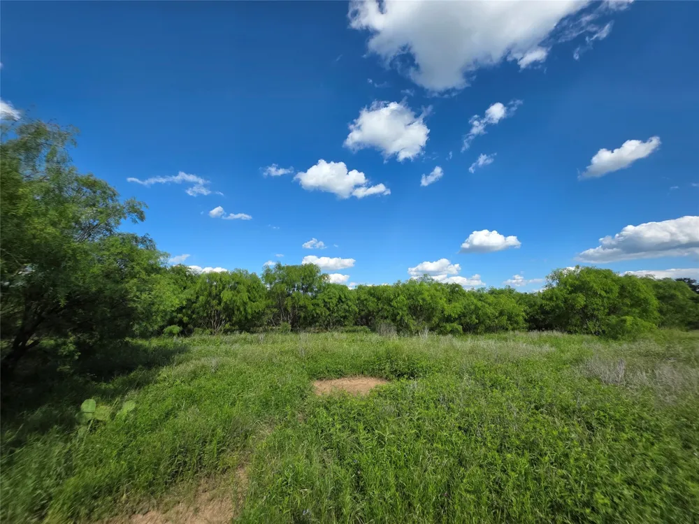 3201 County Road 612 Bangs, TX 76823