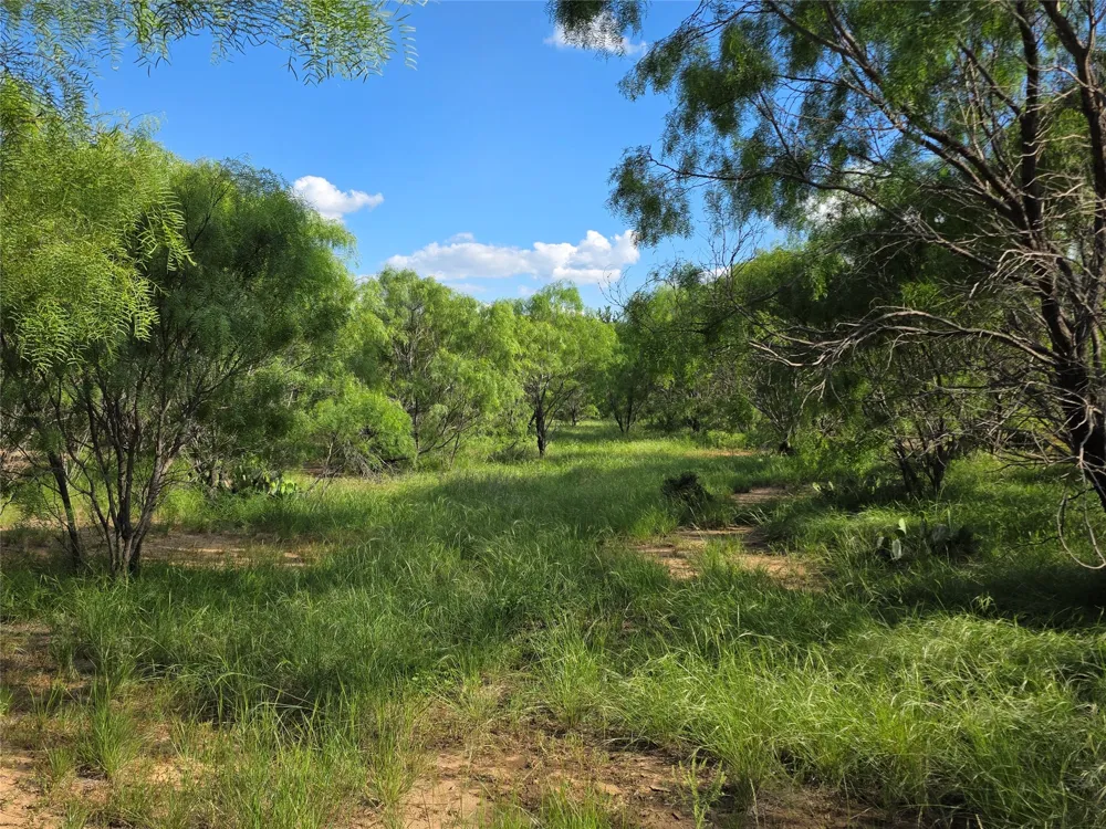 3201 County Road 612 Bangs, TX 76823