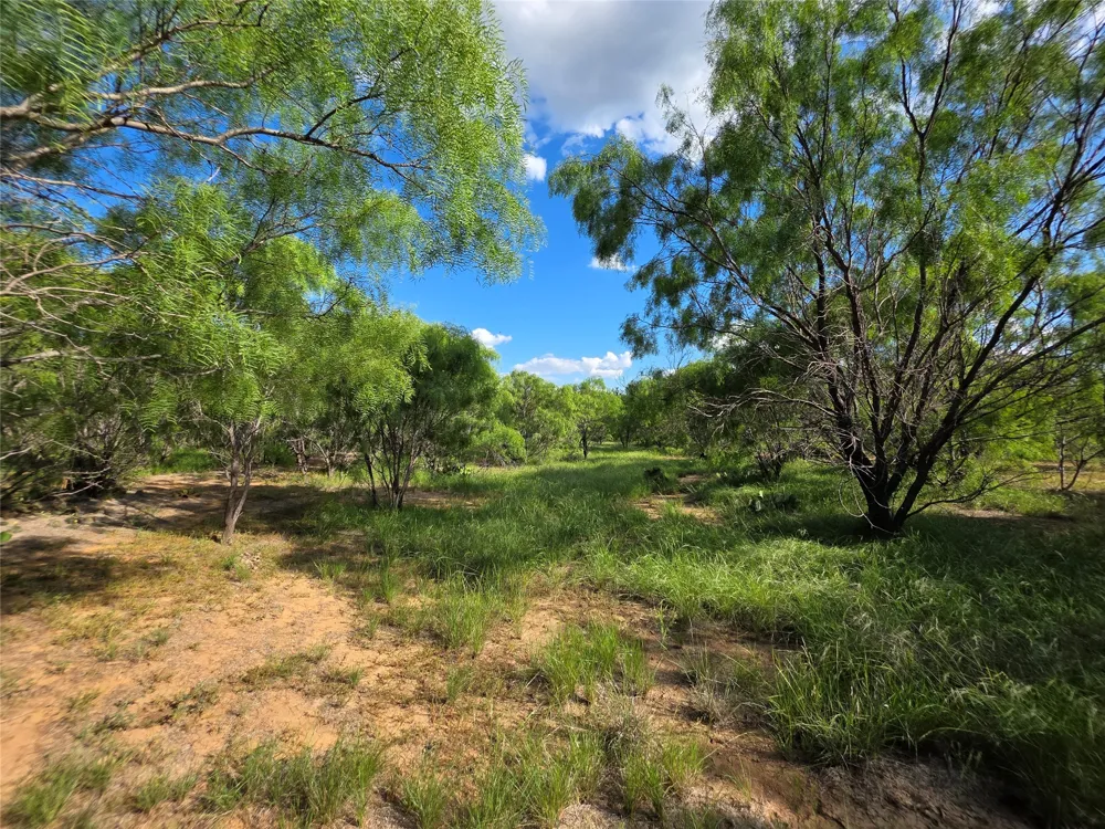 3201 County Road 612 Bangs, TX 76823