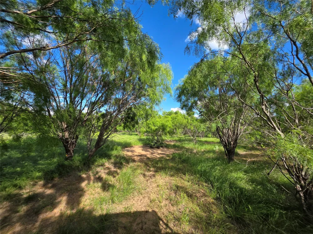 3201 County Road 612 Bangs, TX 76823