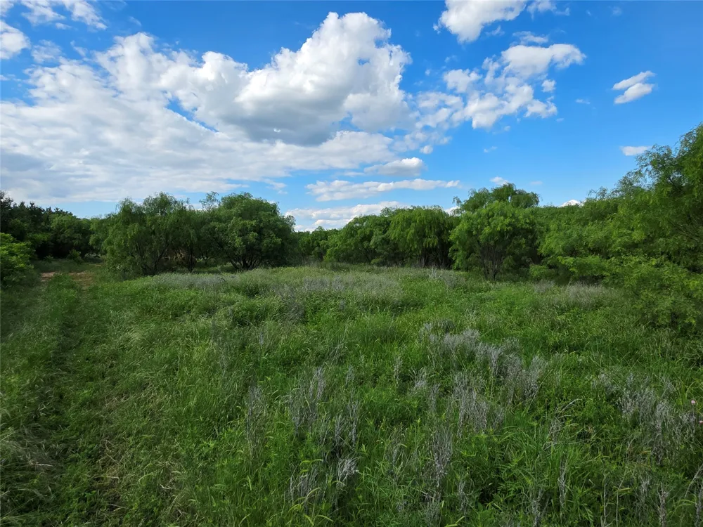 3201 County Road 612 Bangs, TX 76823