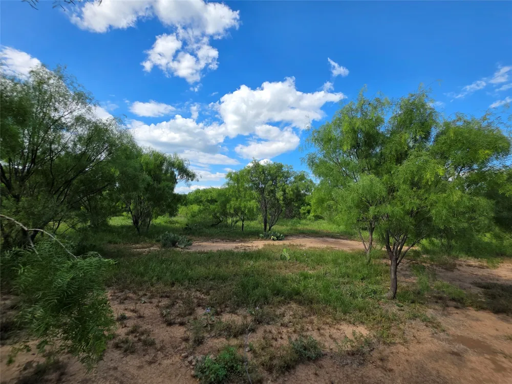 3201 County Road 612 Bangs, TX 76823