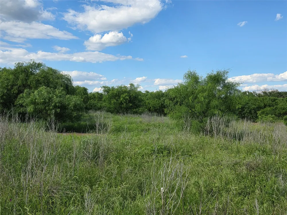 3201 County Road 612 Bangs, TX 76823