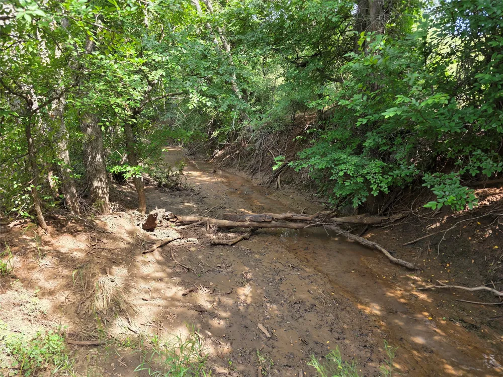 3201 County Road 612 Bangs, TX 76823