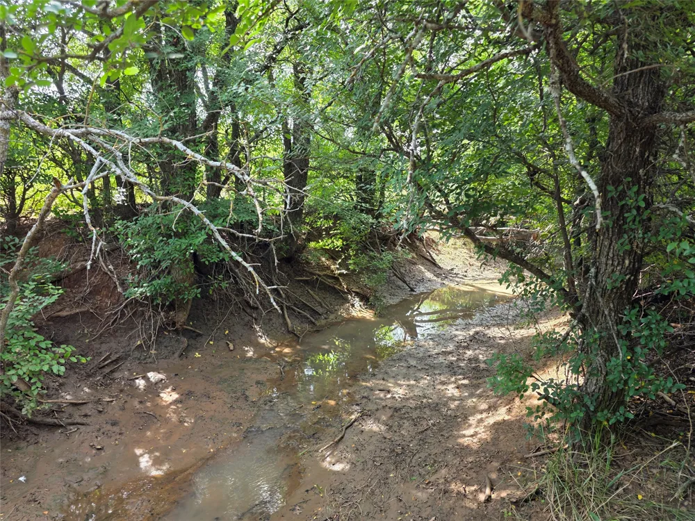 3201 County Road 612 Bangs, TX 76823
