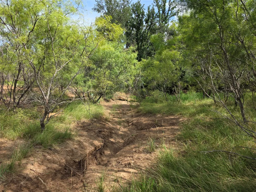 3201 County Road 612 Bangs, TX 76823