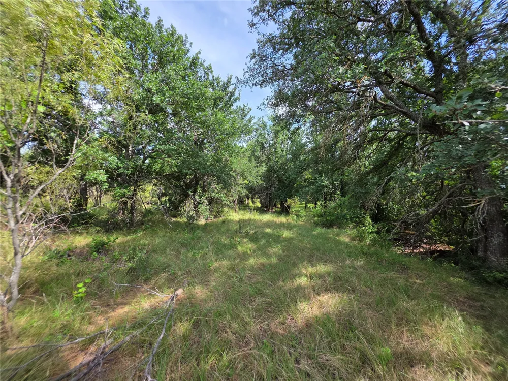 3201 County Road 612 Bangs, TX 76823