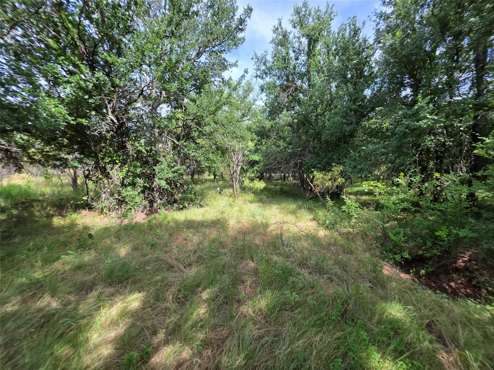 3201 County Road 612 Bangs, TX 76823