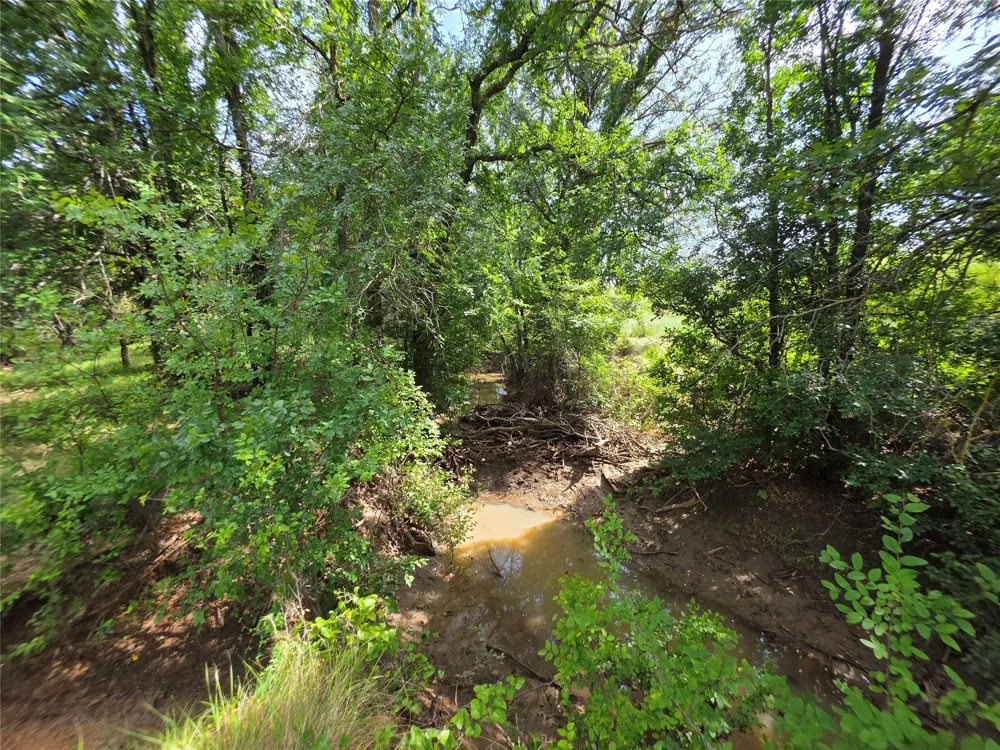 3201 County Road 612 Bangs, TX 76823