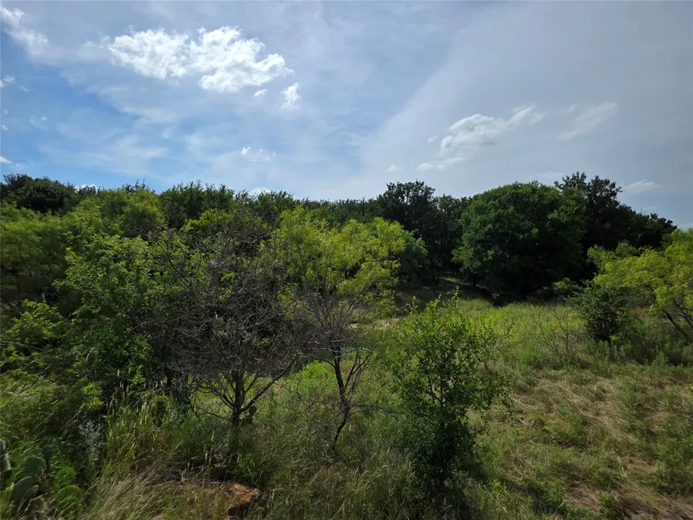 3201 County Road 612 Bangs, TX 76823