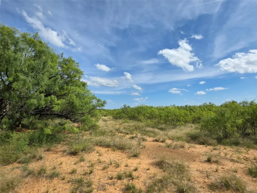 3201 County Road 612 Bangs, TX 76823