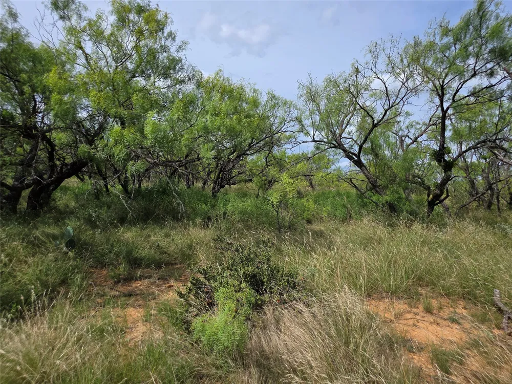 3201 County Road 612 Bangs, TX 76823