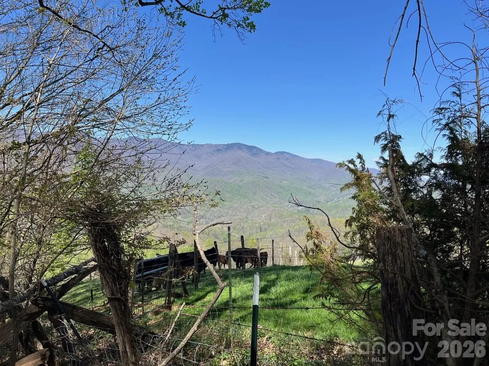 0 Crackin Chestnut Lane Sylva, NC 28779
