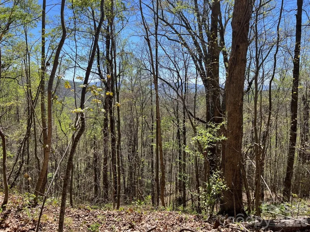 0 Crackin Chestnut Lane Sylva, NC 28779