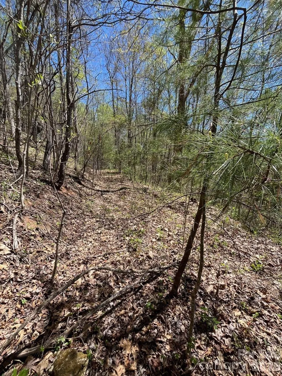 0 Crackin Chestnut Lane Sylva, NC 28779