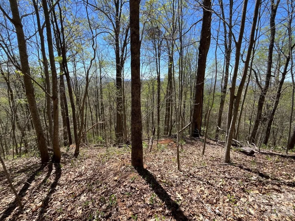 0 Crackin Chestnut Lane Sylva, NC 28779