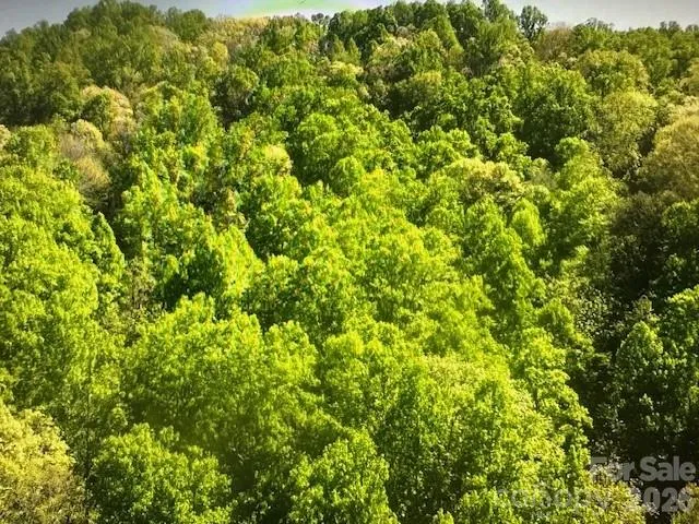 0 Crackin Chestnut Lane Sylva, NC 28779
