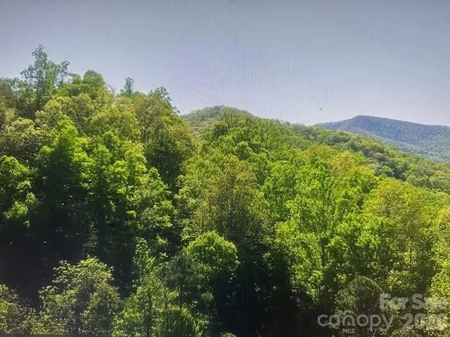 0 Crackin Chestnut Lane Sylva, NC 28779