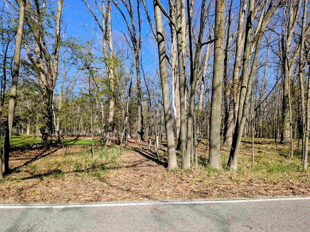 1048 Bundy Drive Broomfield Township, MI 48893