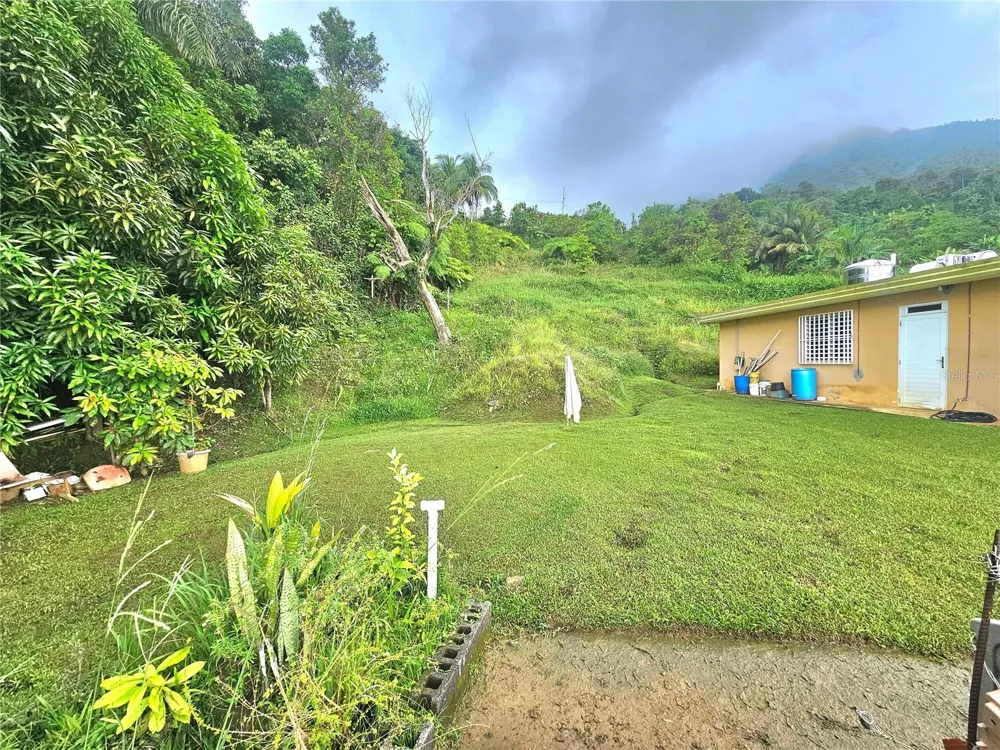 971 971 Naguabo, PR 00718