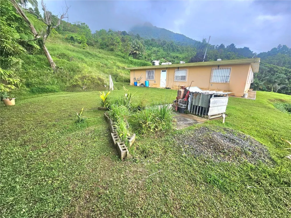 971 971 Naguabo, PR 00718