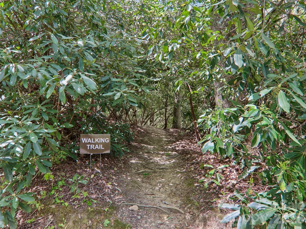 554 Pisgah Forest Drive Pisgah Forest, NC 28768