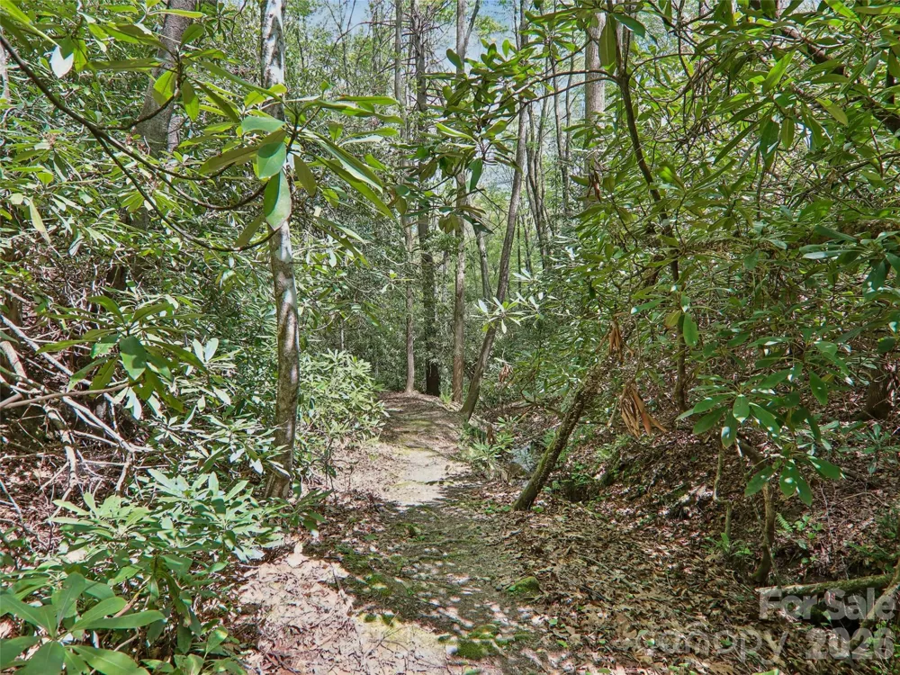 554 Pisgah Forest Drive Pisgah Forest, NC 28768