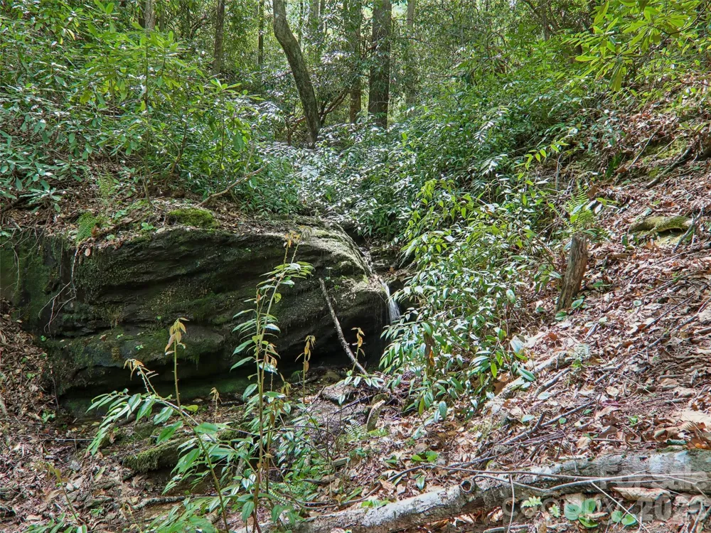 554 Pisgah Forest Drive Pisgah Forest, NC 28768