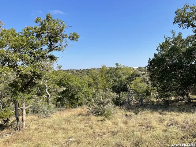 331 ECHO FLS Comfort, TX 78013