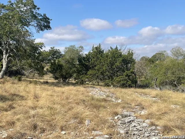 331 ECHO FLS Comfort, TX 78013