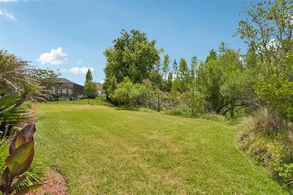 8355 SWISS CHARD CIRCLE Land O Lakes, FL 34637