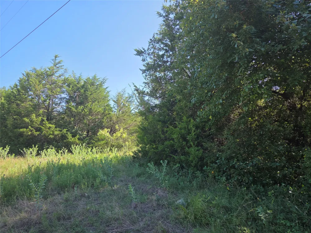 Hout Bay Road Streetman, TX 75859