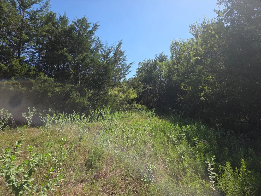 Hout Bay Road Streetman, TX 75859