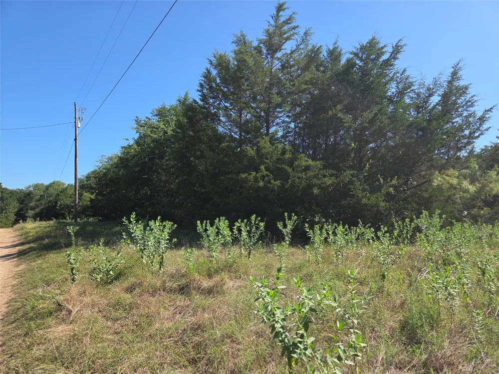 Hout Bay Road Streetman, TX 75859