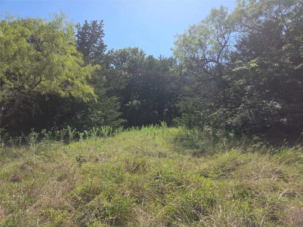 Hout Bay Road Streetman, TX 75859