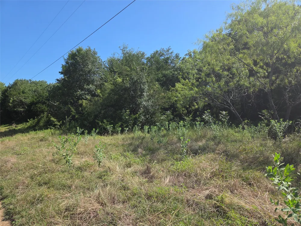 Hout Bay Road Streetman, TX 75859