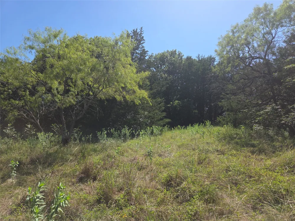 Hout Bay Road Streetman, TX 75859