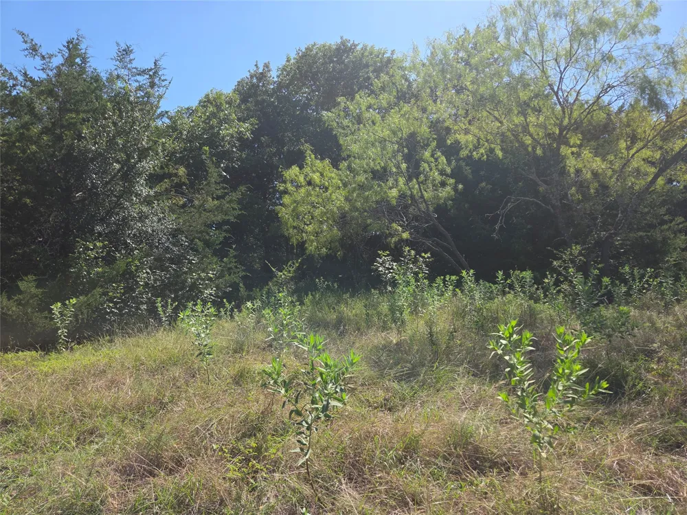 Hout Bay Road Streetman, TX 75859