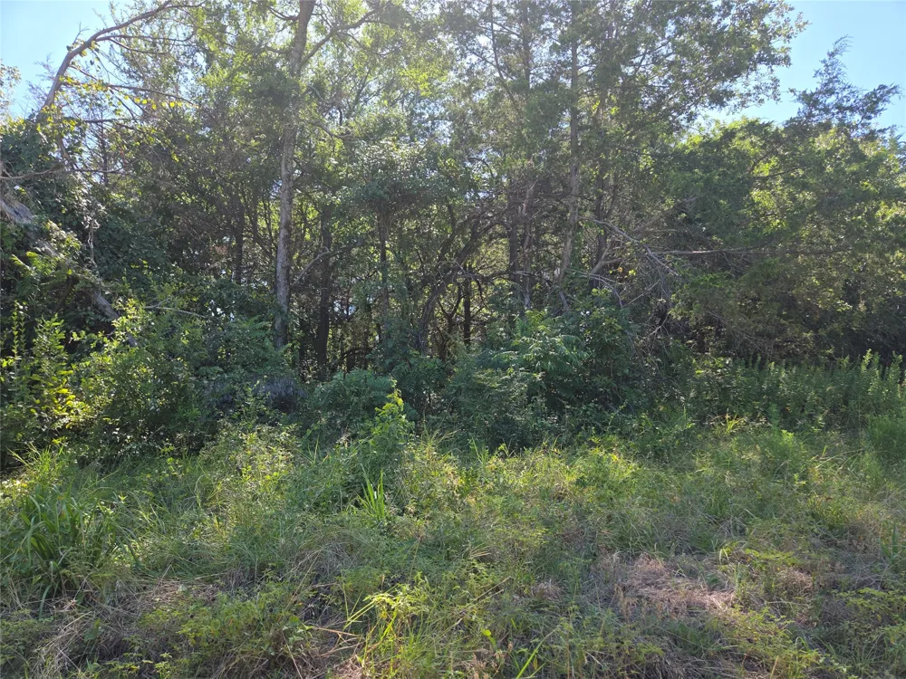 Hout Bay Road Streetman, TX 75859