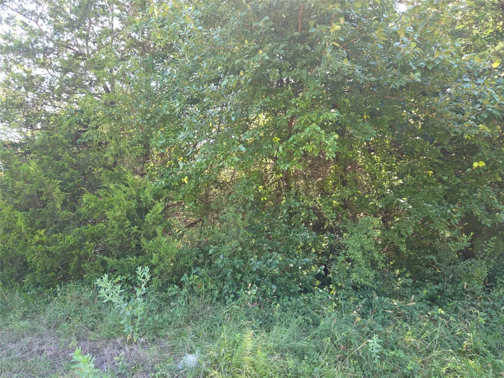 Hout Bay Road Streetman, TX 75859