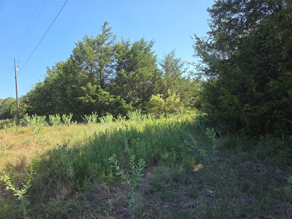 Hout Bay Road Streetman, TX 75859