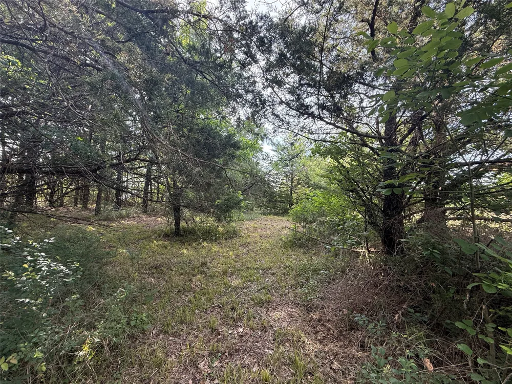 Hout Bay Road Streetman, TX 75859