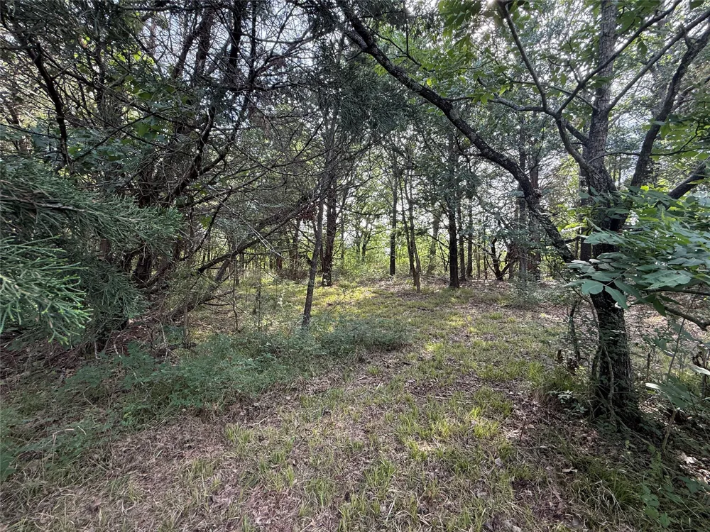 Hout Bay Road Streetman, TX 75859