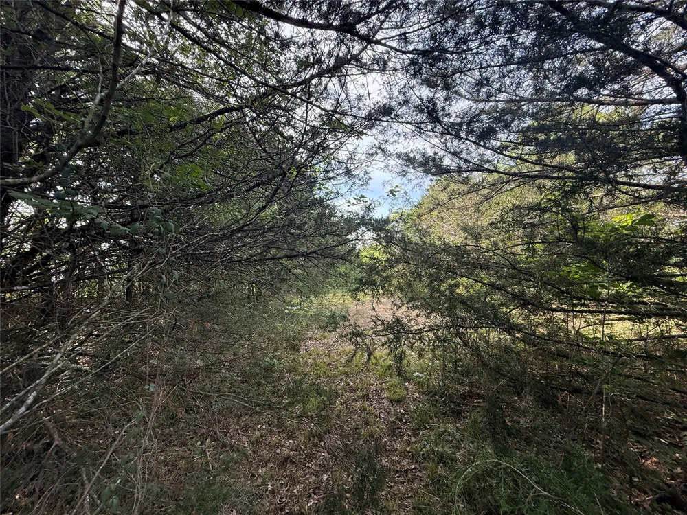 Hout Bay Road Streetman, TX 75859