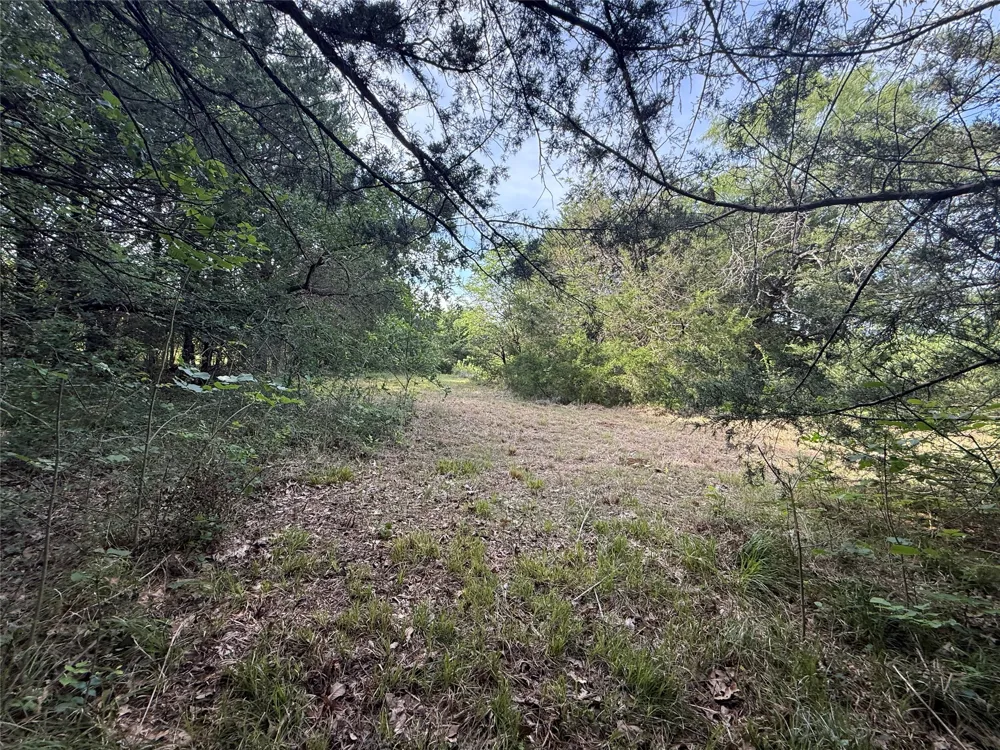 Hout Bay Road Streetman, TX 75859