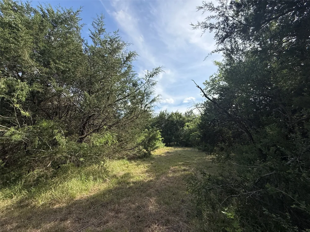 Hout Bay Road Streetman, TX 75859