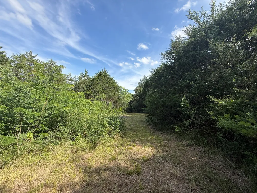 Hout Bay Road Streetman, TX 75859