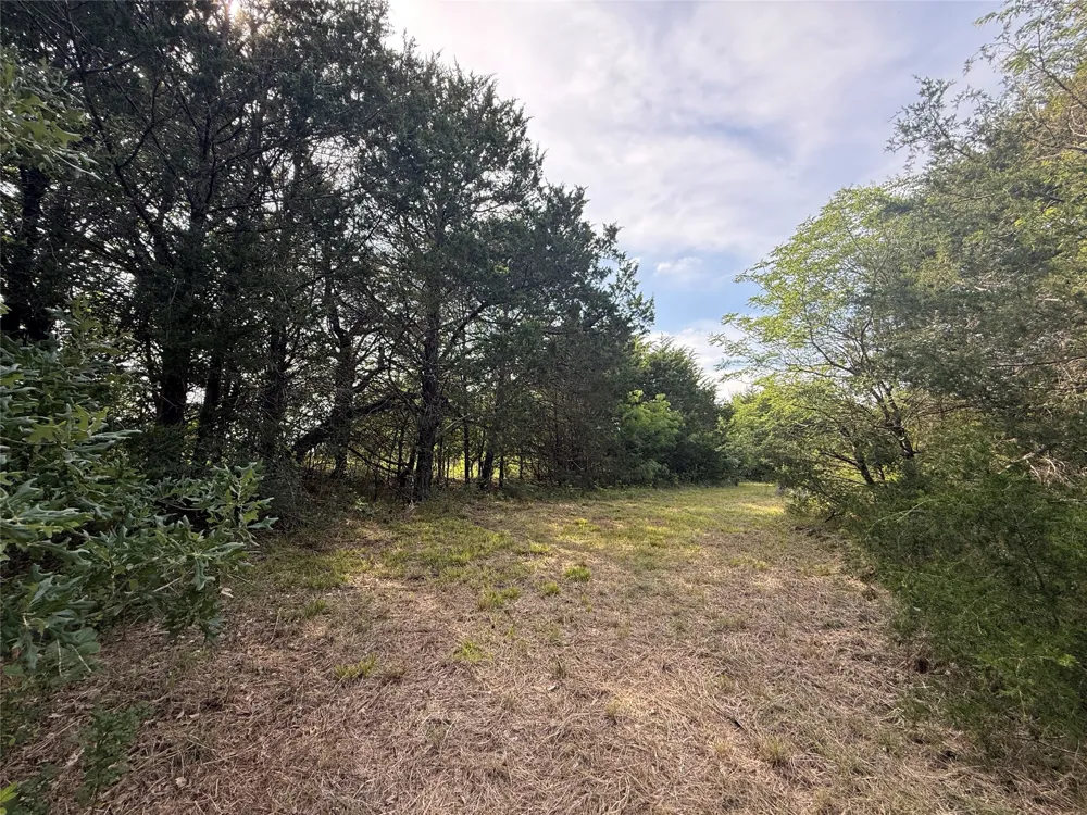Hout Bay Road Streetman, TX 75859