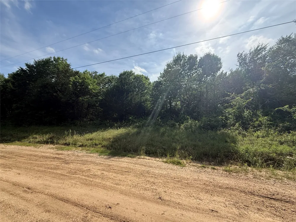 Hout Bay Road Streetman, TX 75859