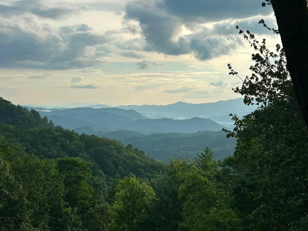 Ridge View Dr Andrews, NC 28901
